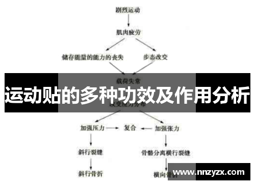 运动贴的多种功效及作用分析